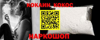 гашик Кингисепп