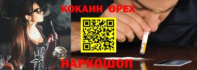 гашик Кингисепп