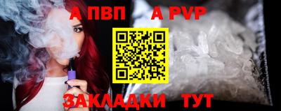гашик Кингисепп
