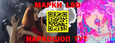 гашик Кингисепп