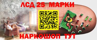 гашик Кингисепп