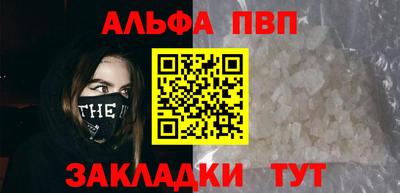 гашик Кингисепп