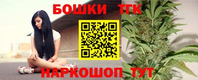 гашик Кингисепп