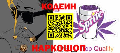 гашик Кингисепп